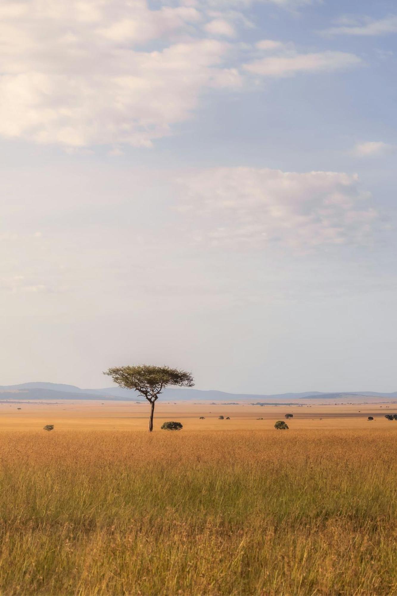 Jw Marriott Masai Mara Lodge Maasai Mara Dış mekan fotoğraf